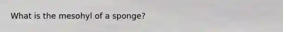 What is the mesohyl of a sponge?