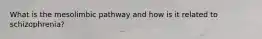 What is the mesolimbic pathway and how is it related to schizophrenia?