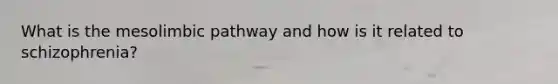 What is the mesolimbic pathway and how is it related to schizophrenia?