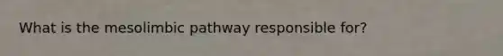 What is the mesolimbic pathway responsible for?