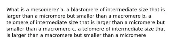 What is a mesomere? a. a blastomere of intermediate size that is larger than a micromere but smaller than a macromere b. a telomere of intermediate size that is larger than a micromere but smaller than a macromere c. a telomere of intermediate size that is larger than a macromere but smaller than a micromere