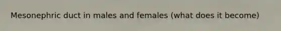 Mesonephric duct in males and females (what does it become)