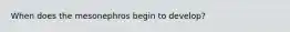 When does the mesonephros begin to develop?