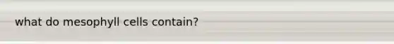what do mesophyll cells contain?