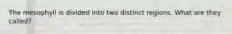 The mesophyll is divided into two distinct regions. What are they called?