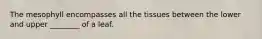 The mesophyll encompasses all the tissues between the lower and upper ________ of a leaf.