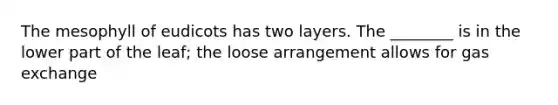 The mesophyll of eudicots has two layers. The ________ is in the lower part of the leaf; the loose arrangement allows for gas exchange