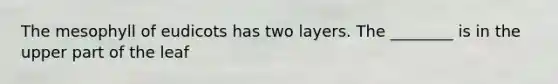 The mesophyll of eudicots has two layers. The ________ is in the upper part of the leaf