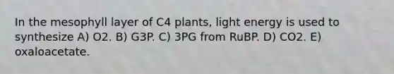 In the mesophyll layer of C4 plants, light energy is used to synthesize A) O2. B) G3P. C) 3PG from RuBP. D) CO2. E) oxaloacetate.