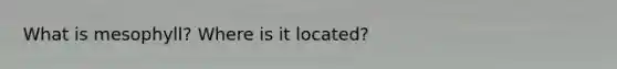 What is mesophyll? Where is it located?