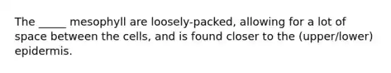 The _____ mesophyll are loosely-packed, allowing for a lot of space between the cells, and is found closer to the (upper/lower) epidermis.