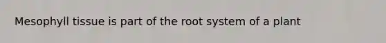 Mesophyll tissue is part of the root system of a plant