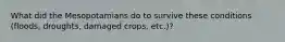 What did the Mesopotamians do to survive these conditions (floods, droughts, damaged crops, etc.)?