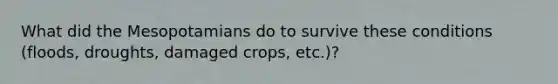 What did the Mesopotamians do to survive these conditions (floods, droughts, damaged crops, etc.)?