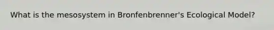 What is the mesosystem in Bronfenbrenner's Ecological Model?