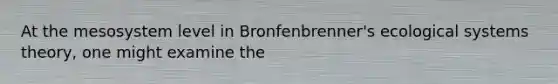 At the mesosystem level in Bronfenbrenner's ecological systems theory, one might examine the