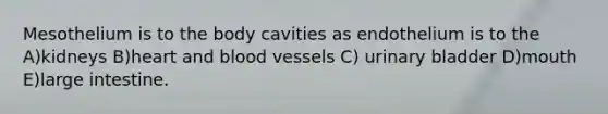 Mesothelium is to the body cavities as endothelium is to the A)kidneys B)heart and blood vessels C) urinary bladder D)mouth E)large intestine.