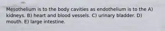 Mesothelium is to the body cavities as endothelium is to the A) kidneys. B) heart and blood vessels. C) urinary bladder. D) mouth. E) large intestine.