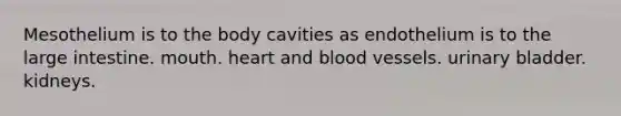 Mesothelium is to the body cavities as endothelium is to the large intestine. mouth. heart and blood vessels. urinary bladder. kidneys.