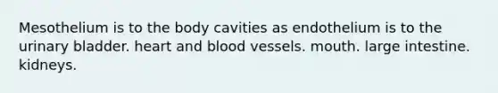 Mesothelium is to the body cavities as endothelium is to the urinary bladder. heart and blood vessels. mouth. large intestine. kidneys.