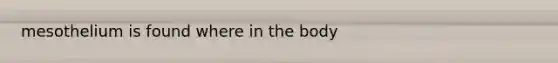 mesothelium is found where in the body