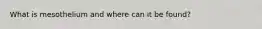 What is mesothelium and where can it be found?