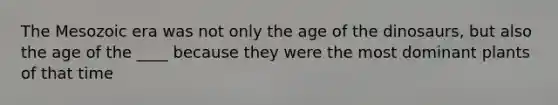 The Mesozoic era was not only the age of the dinosaurs, but also the age of the ____ because they were the most dominant plants of that time