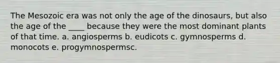 The Mesozoic era was not only the age of the dinosaurs, but also the age of the ____ because they were the most dominant plants of that time. a. angiosperms b. eudicots c. gymnosperms d. monocots e. progymnospermsc.