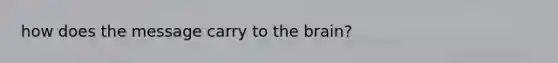 how does the message carry to the brain?