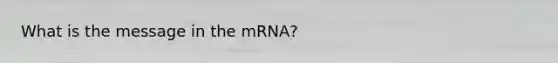 What is the message in the mRNA?