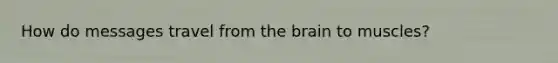 How do messages travel from <a href='https://www.questionai.com/knowledge/kLMtJeqKp6-the-brain' class='anchor-knowledge'>the brain</a> to muscles?