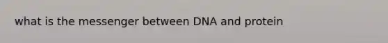 what is the messenger between DNA and protein