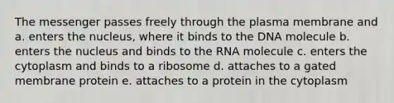 The messenger passes freely through the plasma membrane and a. enters the nucleus, where it binds to the DNA molecule b. enters the nucleus and binds to the RNA molecule c. enters the cytoplasm and binds to a ribosome d. attaches to a gated membrane protein e. attaches to a protein in the cytoplasm