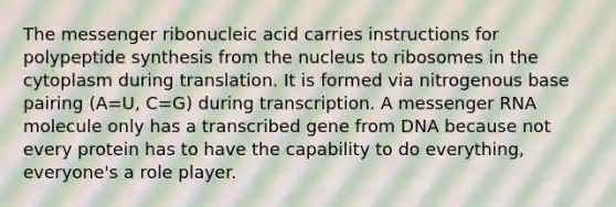 The messenger ribonucleic acid carries instructions for polypeptide synthesis from the nucleus to ribosomes in the cytoplasm during translation. It is formed via nitrogenous base pairing (A=U, C=G) during transcription. A messenger RNA molecule only has a transcribed gene from DNA because not every protein has to have the capability to do everything, everyone's a role player.