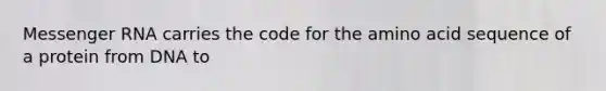 Messenger RNA carries the code for the amino acid sequence of a protein from DNA to