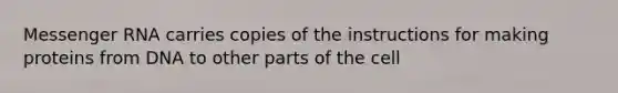 Messenger RNA carries copies of the instructions for making proteins from DNA to other parts of the cell