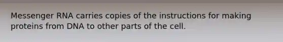 <a href='https://www.questionai.com/knowledge/kDttgcz0ig-messenger-rna' class='anchor-knowledge'>messenger rna</a> carries copies of the instructions for making proteins from DNA to other parts of the cell.
