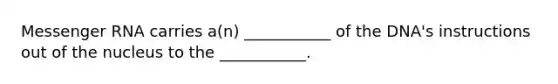 Messenger RNA carries a(n) ___________ of the DNA's instructions out of the nucleus to the ___________.