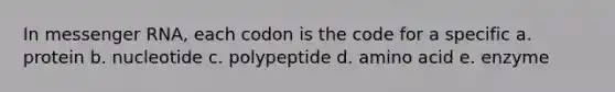 In <a href='https://www.questionai.com/knowledge/kDttgcz0ig-messenger-rna' class='anchor-knowledge'>messenger rna</a>, each codon is the code for a specific a. protein b. nucleotide c. polypeptide d. amino acid e. enzyme