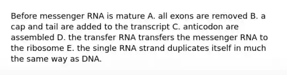 Before <a href='https://www.questionai.com/knowledge/kDttgcz0ig-messenger-rna' class='anchor-knowledge'>messenger rna</a> is mature A. all exons are removed B. a cap and tail are added to the transcript C. anticodon are assembled D. the <a href='https://www.questionai.com/knowledge/kYREgpZMtc-transfer-rna' class='anchor-knowledge'>transfer rna</a> transfers the messenger RNA to the ribosome E. the single RNA strand duplicates itself in much the same way as DNA.