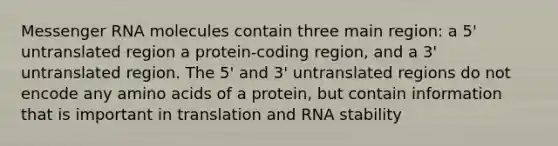 Messenger RNA molecules contain three main region: a 5' untranslated region a protein-coding region, and a 3' untranslated region. The 5' and 3' untranslated regions do not encode any amino acids of a protein, but contain information that is important in translation and RNA stability