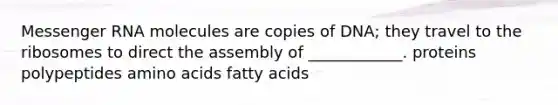 Messenger RNA molecules are copies of DNA; they travel to the ribosomes to direct the assembly of ____________. proteins polypeptides amino acids fatty acids