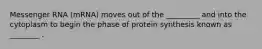 Messenger RNA (mRNA) moves out of the _________ and into the cytoplasm to begin the phase of protein synthesis known as ________ .