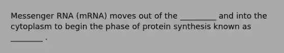 Messenger RNA (mRNA) moves out of the _________ and into the cytoplasm to begin the phase of protein synthesis known as ________ .