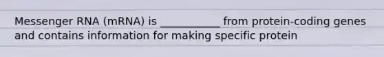Messenger RNA (mRNA) is ___________ from protein-coding genes and contains information for making specific protein