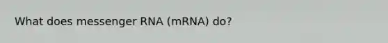 What does messenger RNA (mRNA) do?