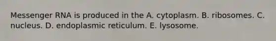 <a href='https://www.questionai.com/knowledge/kDttgcz0ig-messenger-rna' class='anchor-knowledge'>messenger rna</a> is produced in the A. cytoplasm. B. ribosomes. C. nucleus. D. endoplasmic reticulum. E. lysosome.