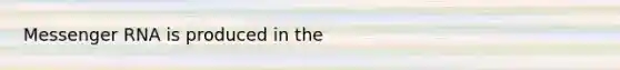 <a href='https://www.questionai.com/knowledge/kDttgcz0ig-messenger-rna' class='anchor-knowledge'>messenger rna</a> is produced in the