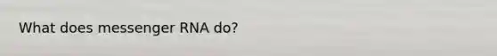 What does <a href='https://www.questionai.com/knowledge/kDttgcz0ig-messenger-rna' class='anchor-knowledge'>messenger rna</a> do?