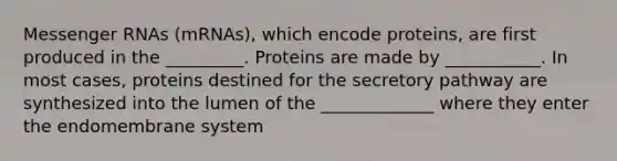 Messenger RNAs (mRNAs), which encode proteins, are first produced in the _________. Proteins are made by ___________. In most cases, proteins destined for the secretory pathway are synthesized into the lumen of the _____________ where they enter the endomembrane system